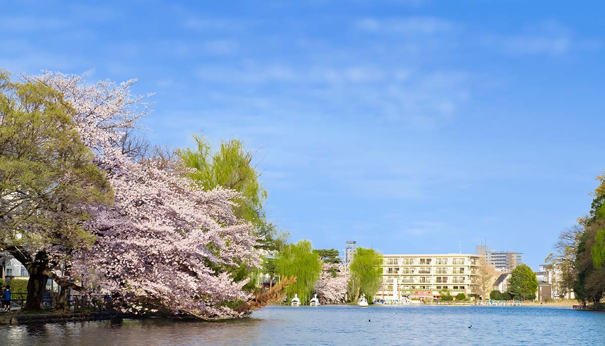 都立石神井公園（徒歩15分・約1,180m）