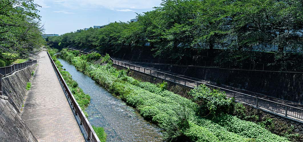 石神井川遊歩道(徒歩11分・約850m)