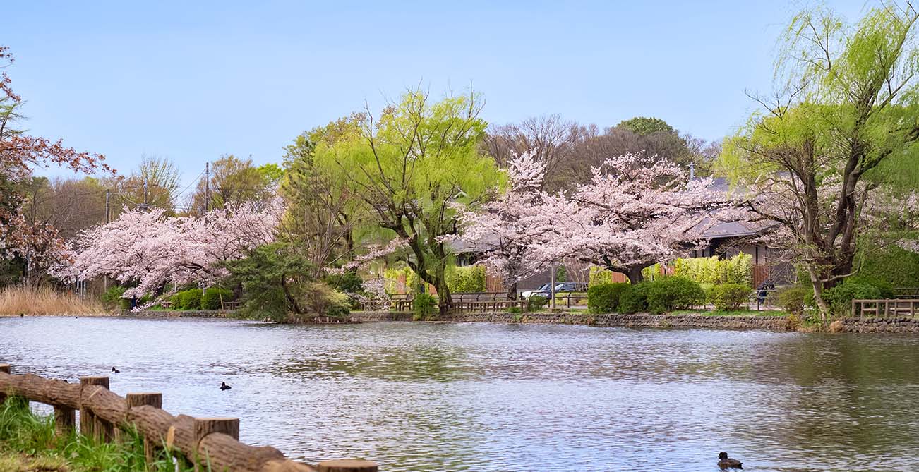 都立石神井公園（徒歩15分・約1,180m）